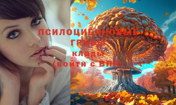 mdpv Алзамай